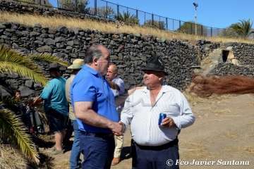 Muestra de ganado de las fiestas del patrono de Telde (Foto  Francisco Javier Santana)